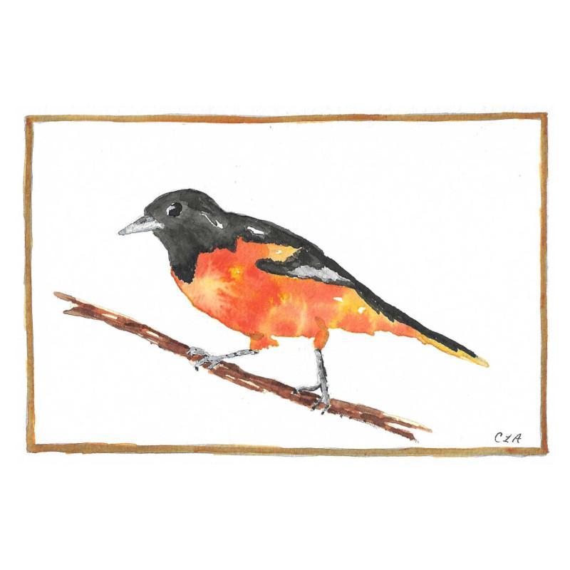 baltimore-oriole-cla-creative-painted-cards