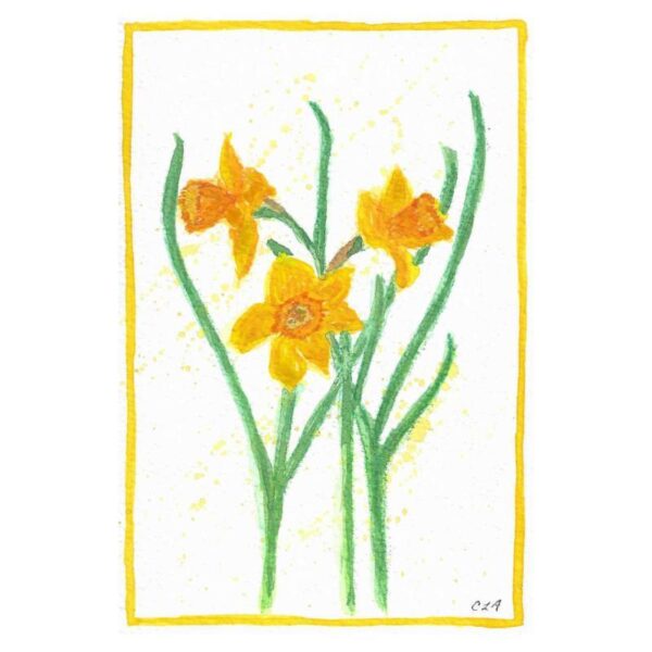 Daffodils