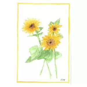Dwarf Sunflowers
