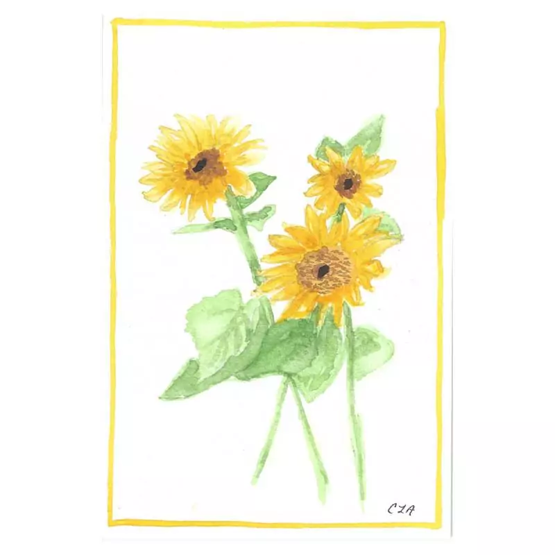 Dwarf Sunflowers