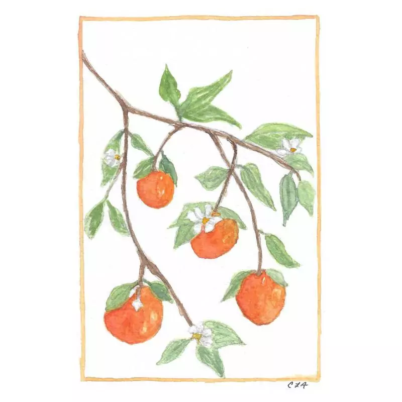 Holiday Citrus