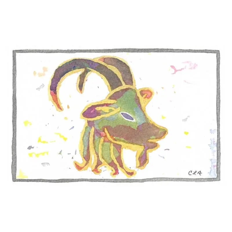 Capricorn